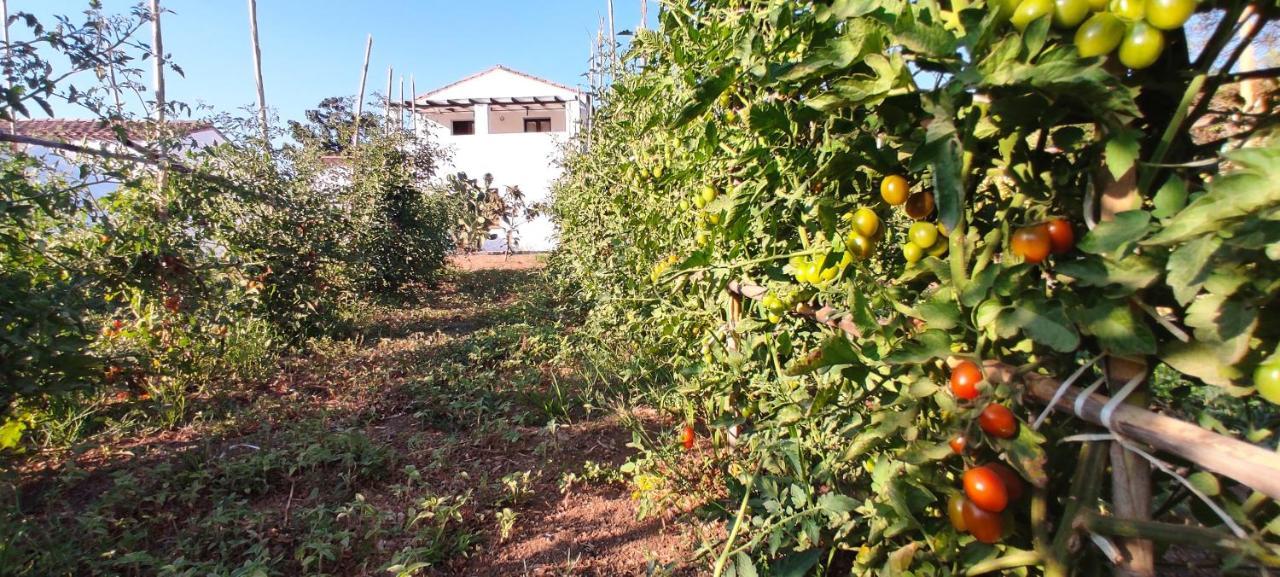 Cort'e Nastasj Tertenìa Exterior foto
